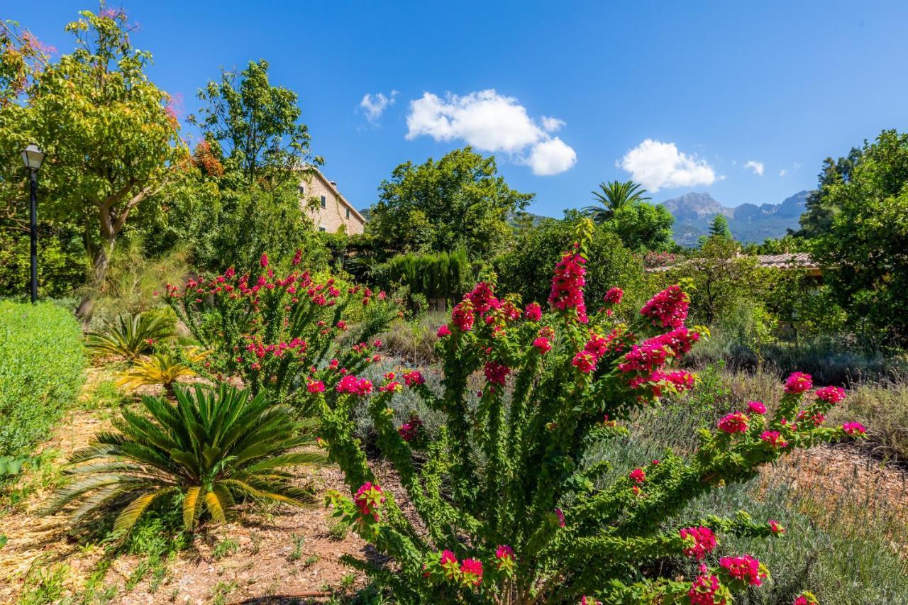 Finca Ca'S Curial - Agroturismo - Adults Only Sóller Dış mekan fotoğraf